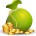 trofir
