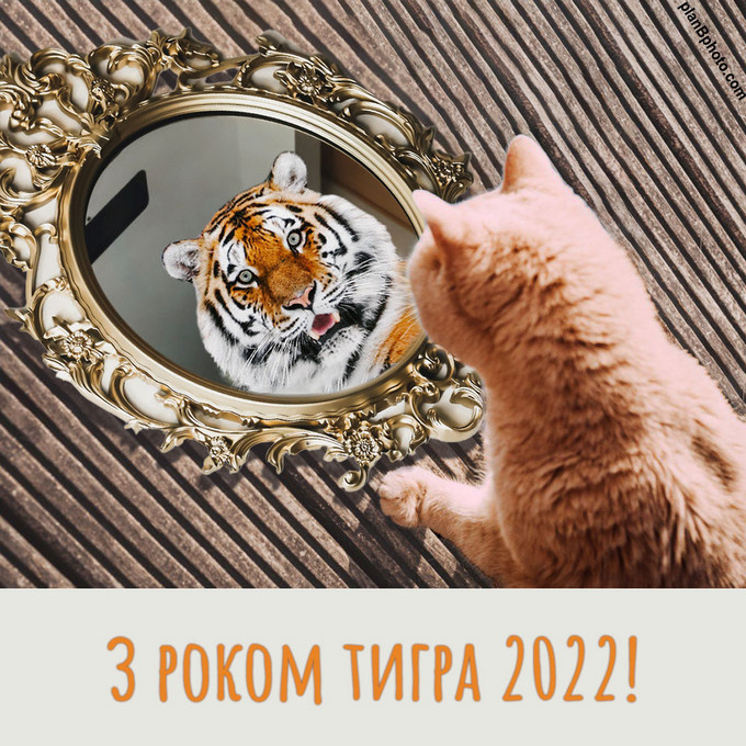 Онлайн Новый Год 2022 Фото