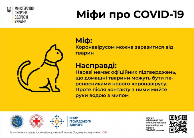 Домашние животные не заражают коронавирусом: в Минздраве развеяли еще один миф о COVID-19 (1)